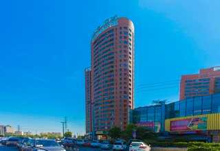 四川高回弹性表带TPU报价