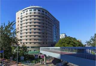 亳州pet塑料刷丝哪里有