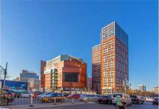 四联益生菌功效和作用